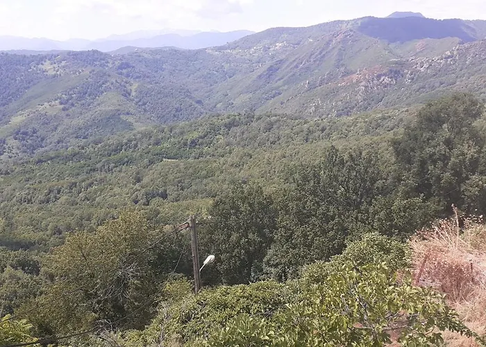A Scontra * Moita